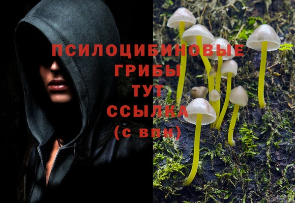 COCAINE Алзамай