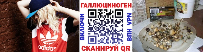 наркошоп  Александровское  Псилоцибиновые грибы ЛСД 