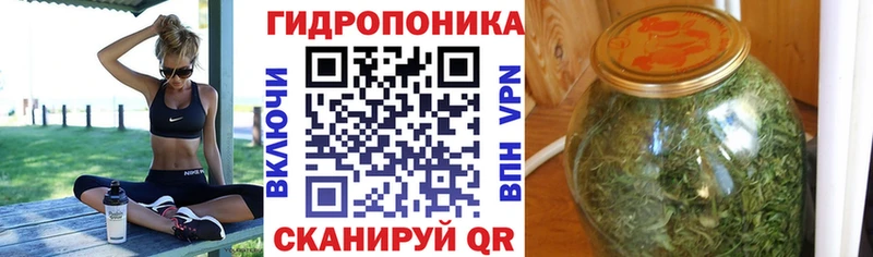 Марихуана марихуана  darknet наркотические препараты  Александровское  даркнет сайт 